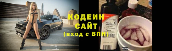 ГАЛЛЮЦИНОГЕННЫЕ ГРИБЫ Арсеньев
